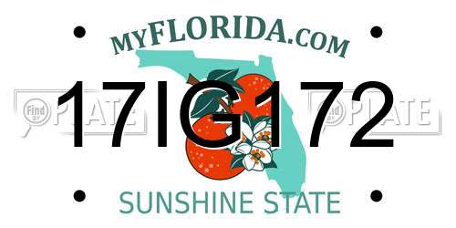 17IG172 Florida License Plate