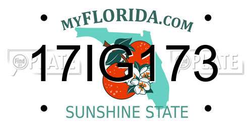 17IG173 Florida License Plate