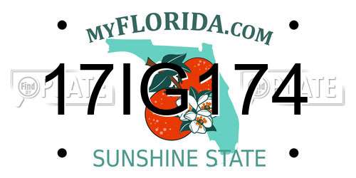 17IG174 Florida License Plate