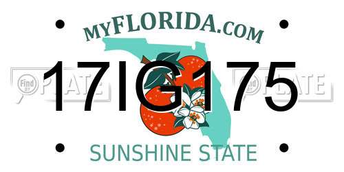 17IG175 Florida License Plate