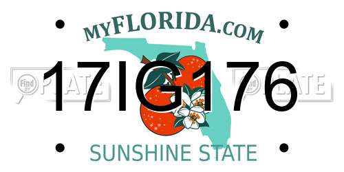 17IG176 Florida License Plate
