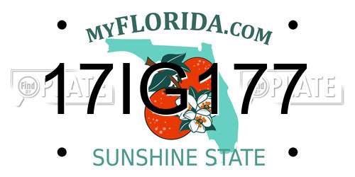 17IG177 Florida License Plate