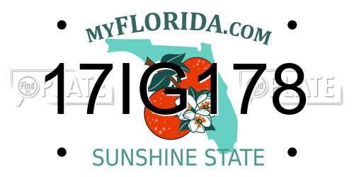 17IG178 Florida License Plate