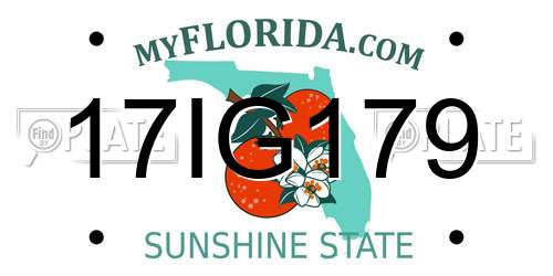 17IG179 Florida License Plate
