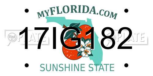 17IG182 Florida License Plate