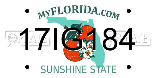 17IG184 Florida License Plate