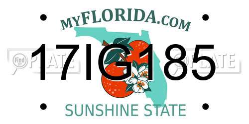 17IG185 Florida License Plate