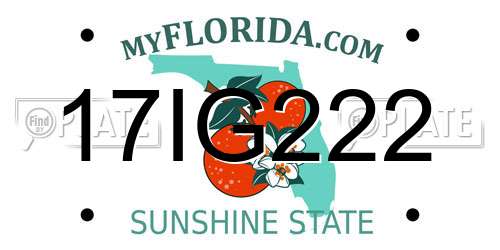 17IG222 Florida License Plate