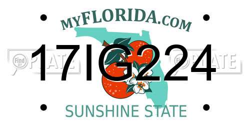 17IG224 Florida License Plate