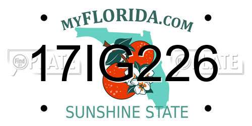 17IG226 Florida License Plate