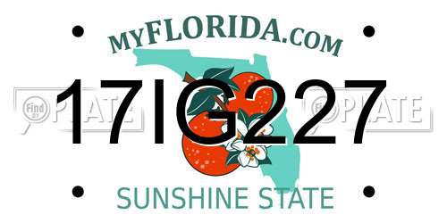 17IG227 Florida License Plate