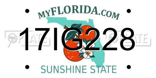 17IG228 Florida License Plate