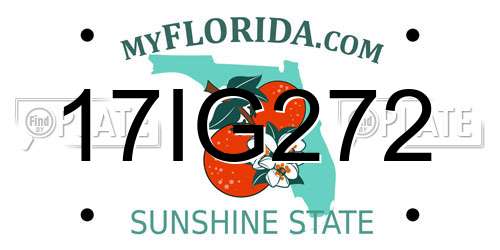 17IG272 Florida License Plate