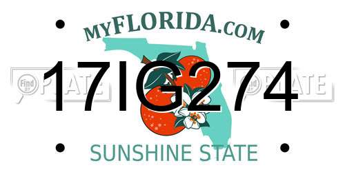 17IG274 Florida License Plate