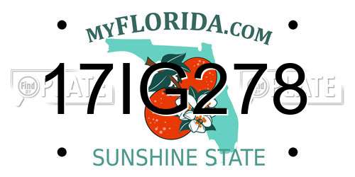 17IG278 Florida License Plate