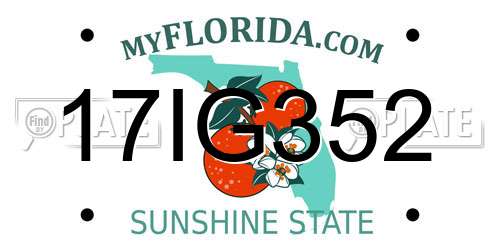 17IG352 Florida License Plate
