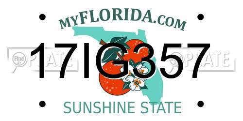 17IG357 Florida License Plate