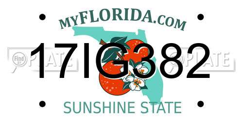 17IG382 Florida License Plate