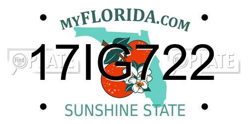 17IG722 Florida License Plate