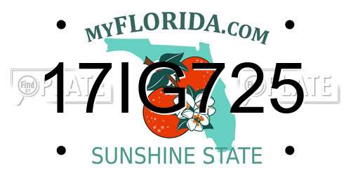 17IG725 Florida License Plate