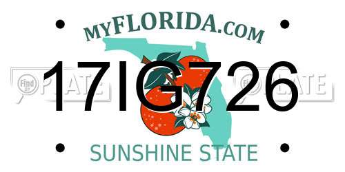 17IG726 Florida License Plate