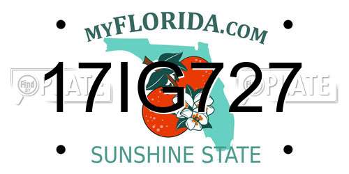 17IG727 Florida License Plate