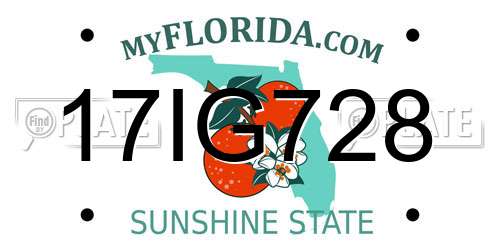 17IG728 Florida License Plate