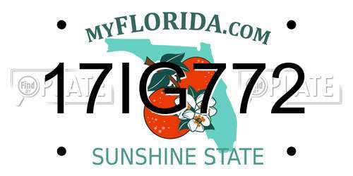 17IG772 Florida License Plate