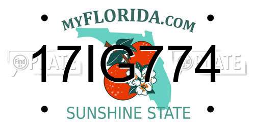17IG774 Florida License Plate