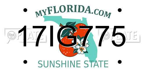 17IG775 Florida License Plate