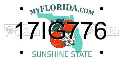 17IG776 Florida License Plate