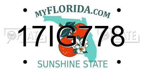 17IG778 Florida License Plate