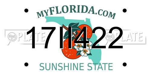 17II422 Florida License Plate