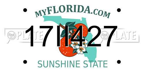17II427 Florida License Plate