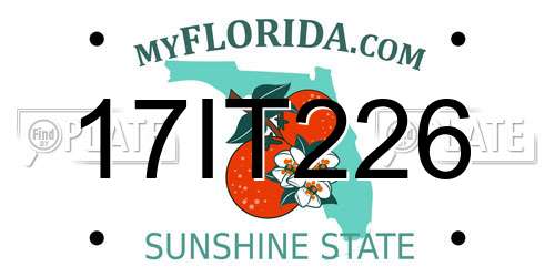 17IT226 Florida License Plate