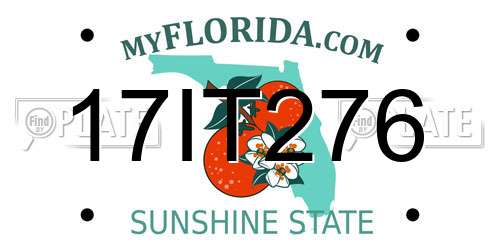 17IT276 Florida License Plate