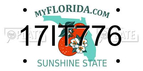 17IT776 Florida License Plate