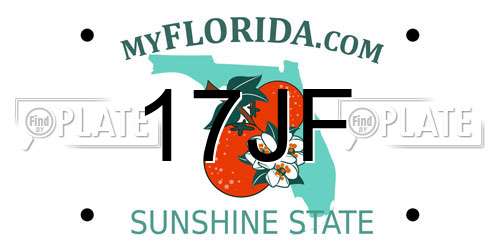 17JF Florida License Plate
