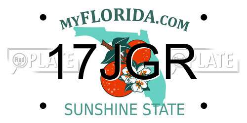 17JGR Florida License Plate