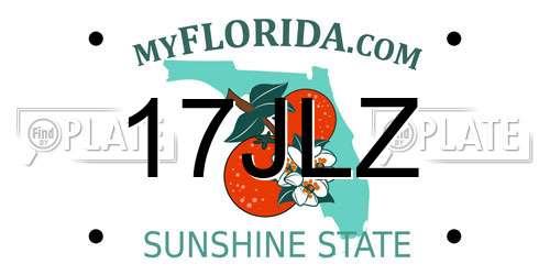 17JLZ Florida License Plate
