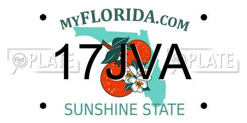 17JVA Florida License Plate