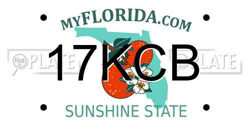 17KCB Florida License Plate