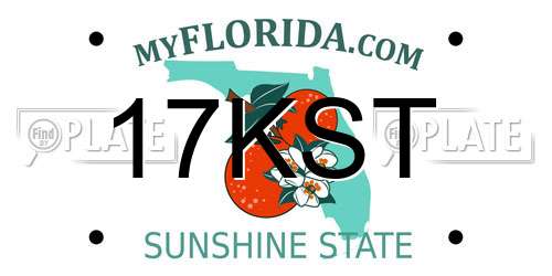 17KST Florida License Plate