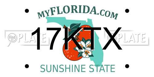 17KTX Florida License Plate