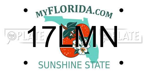 17LMN Florida License Plate