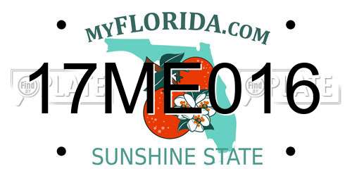 17ME016 Florida License Plate