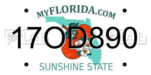 17OD890 Florida License Plate