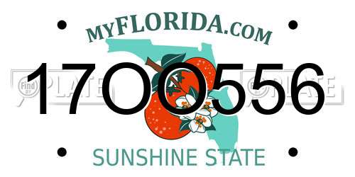 17OO556 Florida License Plate