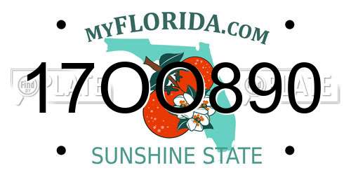 17OO890 Florida License Plate