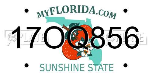 17OQ856 Florida License Plate